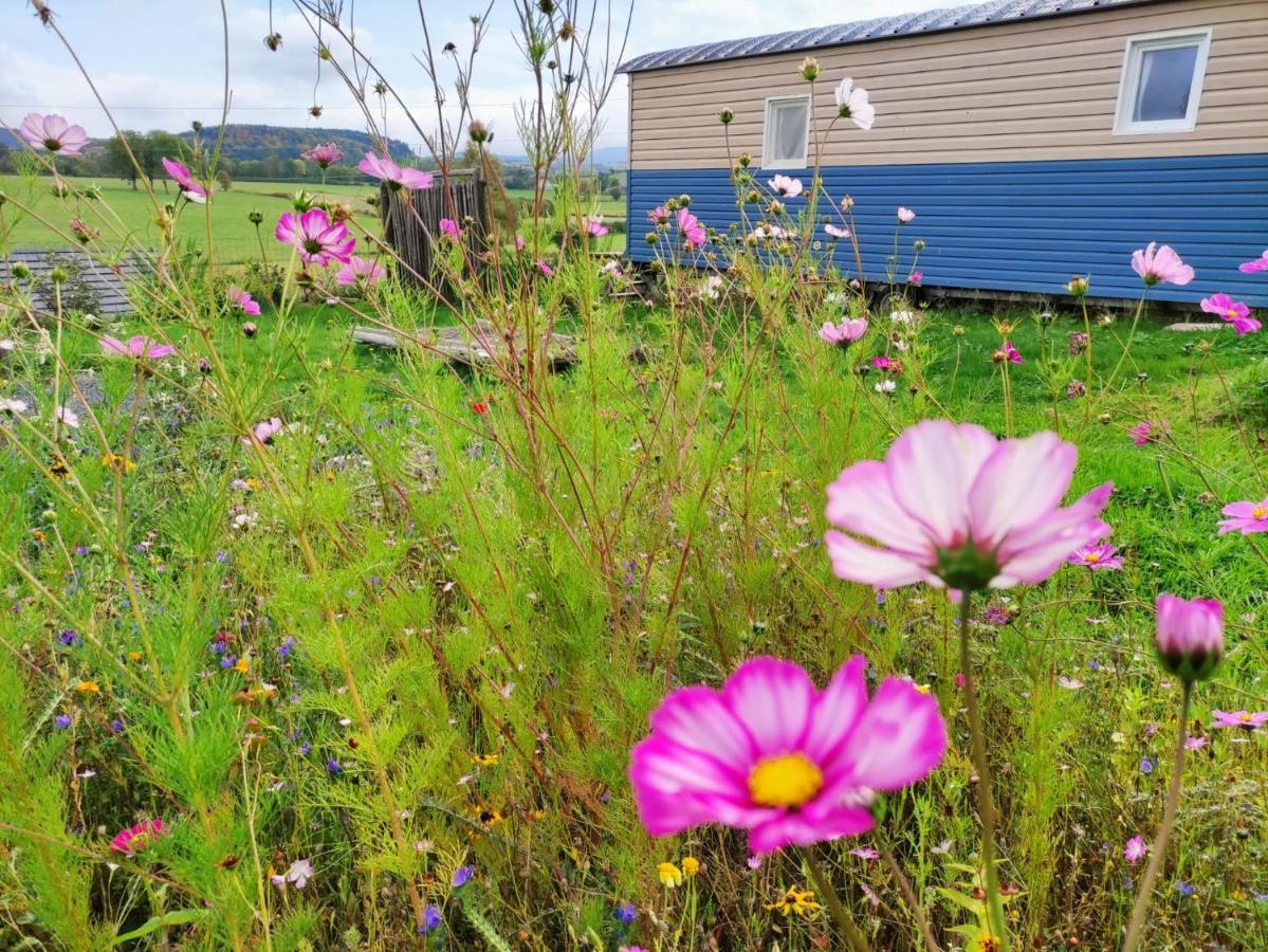 Logement Insolite Au Coeur De L'Auvergne Rochefort-Montagne Kültér fotó